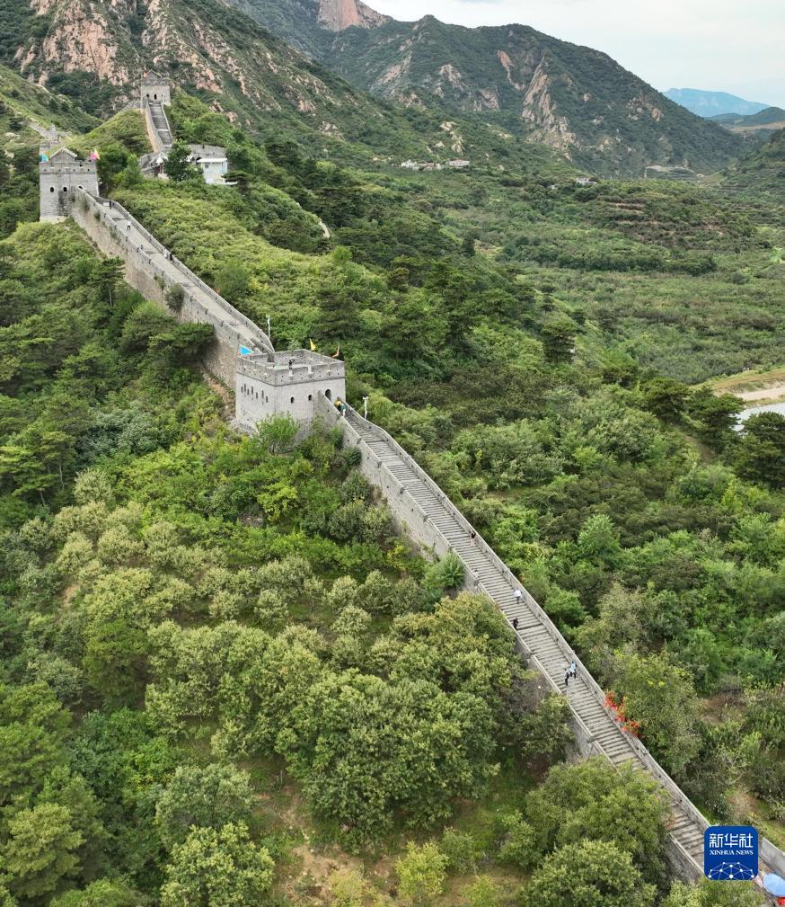 至尊赌场网址大全